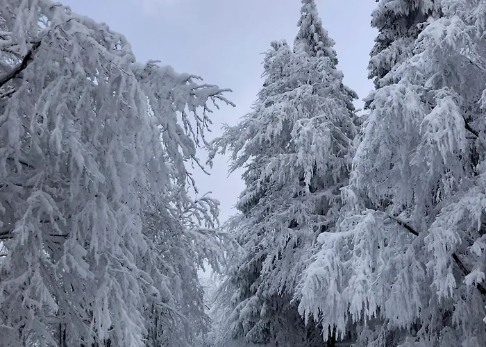 Welcome In - 'kleines Glueck', Je Perfecte Uitvalsbasis In Sauerland Lägenhet Winterberg